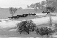 440 - SNOW RIDING - YEUNG CHI YIP - macao <div